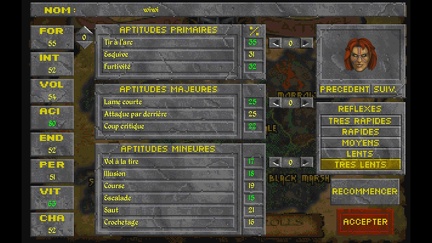 wiwi le Khajiit - quelques statistiques