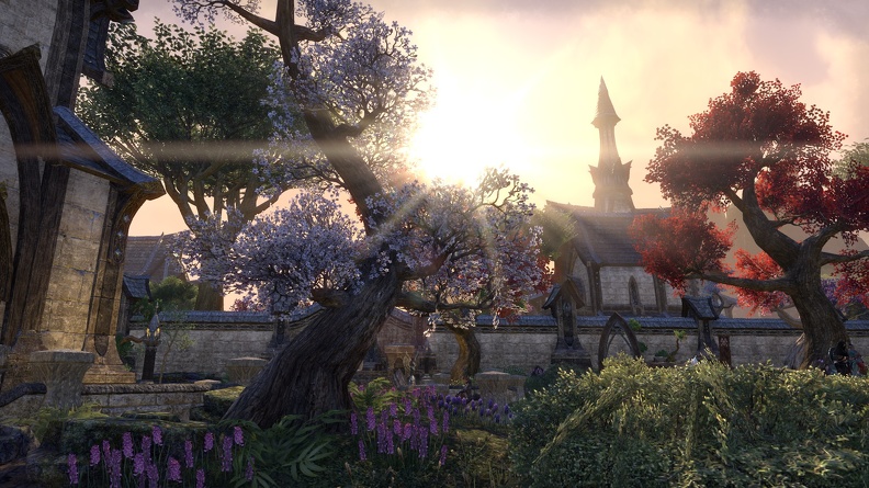 elder-scrolls-online-012.jpg