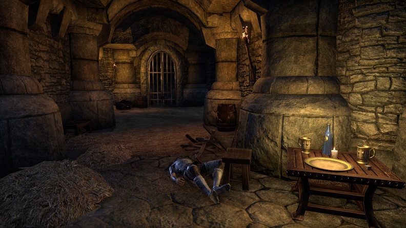 elder-scrolls-online-015.jpg