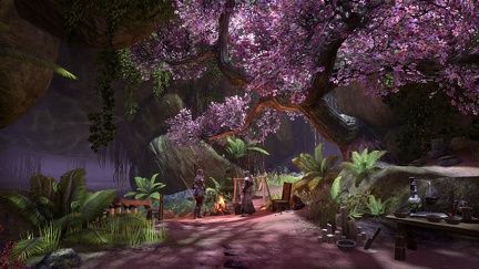 elder-scrolls-online-21