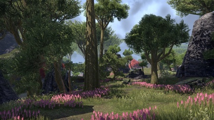 elder-scrolls-online-032
