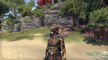 elder-scrolls-online-033