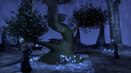 elder-scrolls-online-041